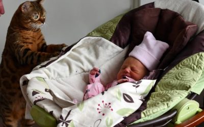 Proč Mourinka začala značkovat věci dcer?