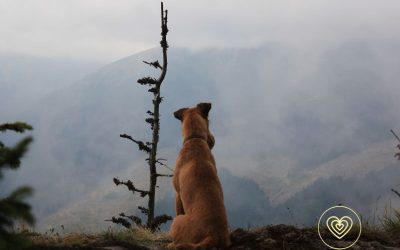 Poslední rozloučení a dopis na rozloučenou
