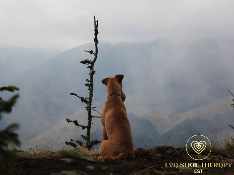 Poslední rozloučení a dopis na rozloučenou